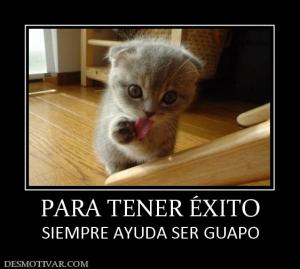 PARA TENER ÉXITO SIEMPRE AYUDA SER GUAPO