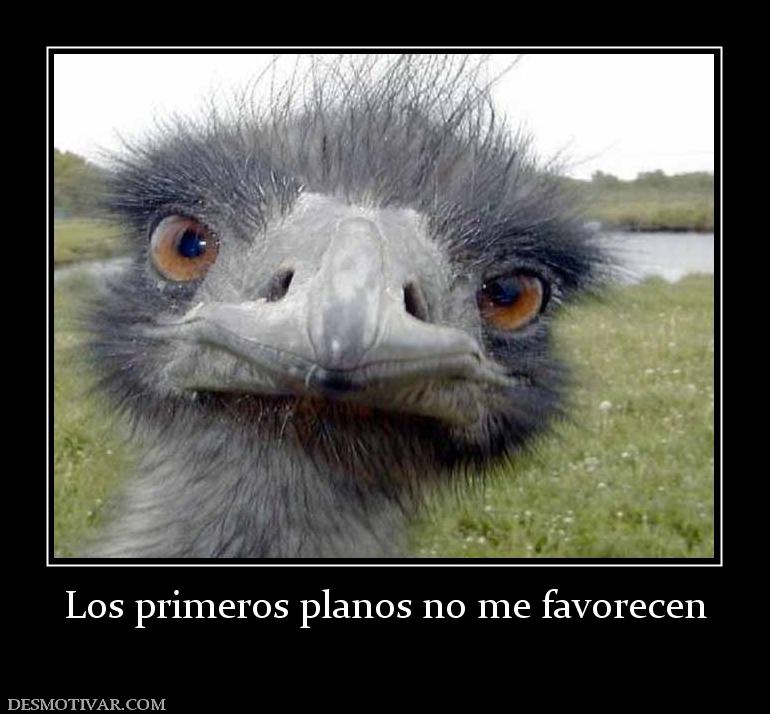 Los primeros planos no me favorecen