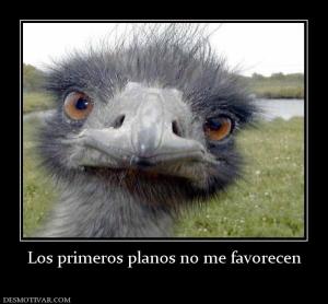 Los primeros planos no me favorecen