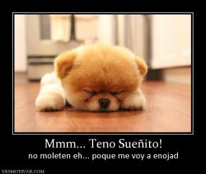 Mmm... Teno Sueñito! no moleten eh... poque me voy a enojad