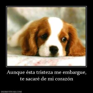 Aunque ésta tristeza me embargue, te sacaré de mi corazón