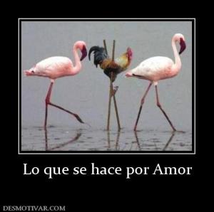 Lo que se hace por Amor