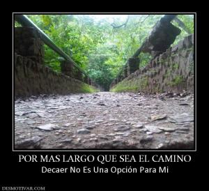POR MAS LARGO QUE SEA EL CAMINO Decaer No Es Una Opción Para Mi