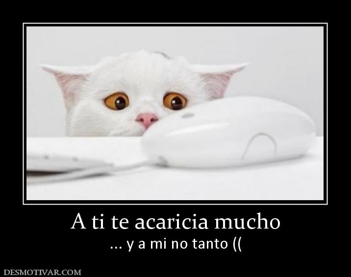 A ti te acaricia mucho ... y a mi no tanto ((