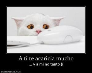 A ti te acaricia mucho ... y a mi no tanto ((