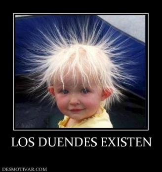 LOS DUENDES EXISTEN