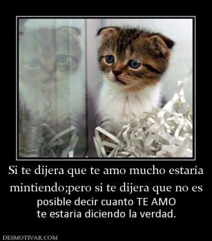 Si te dijera que te amo mucho estaría mintiendo;pero si te dijera que no es  posible decir cuanto TE AMO te estaria diciendo la verdad.