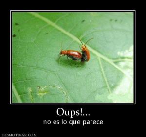 Oups!... no es lo que parece