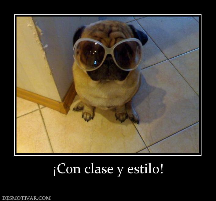 ¡Con clase y estilo!