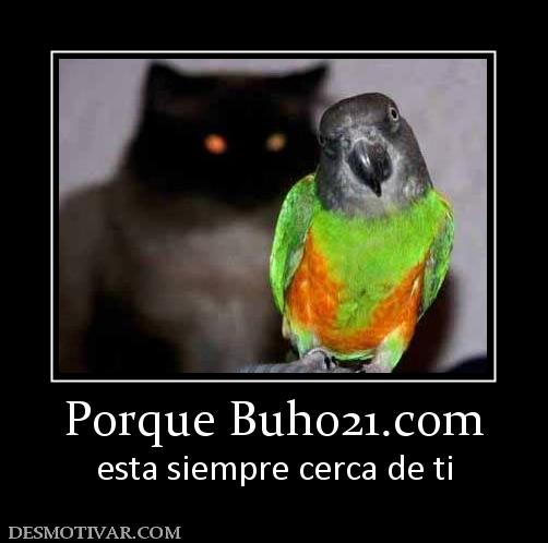 Porque buho21.org esta siempre cerca de ti