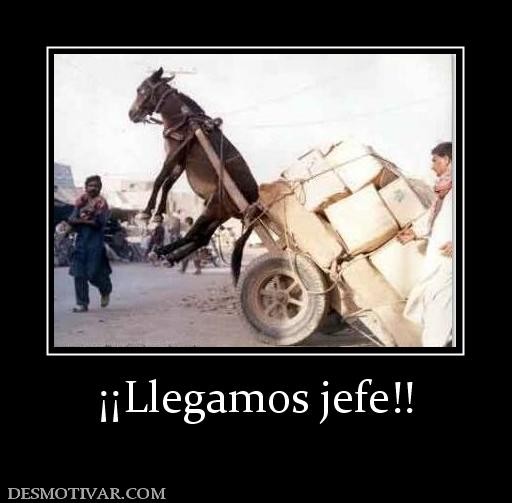 ¡¡Llegamos jefe!!
