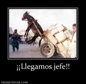 ¡¡Llegamos jefe!!