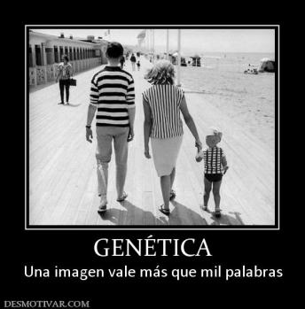 GENÉTICA Una imagen vale más que mil palabras