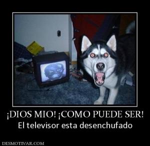 ¡DIOS MIO! ¡COMO PUEDE SER! El televisor esta desenchufado