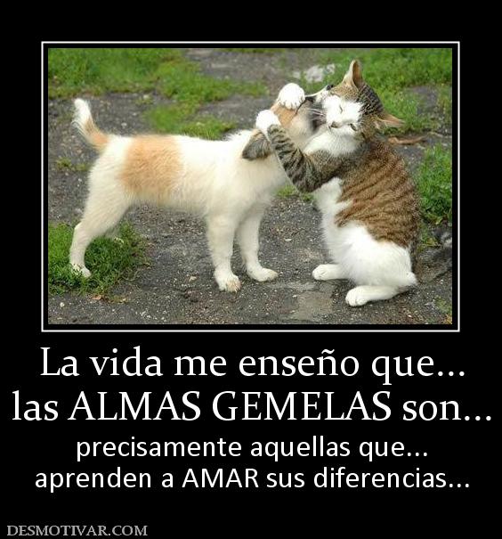 La vida me enseño que... las ALMAS GEMELAS son... precisamente aquellas que... aprenden a AMAR sus diferencias...