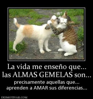 La vida me enseño que... las ALMAS GEMELAS son... precisamente aquellas que... aprenden a AMAR sus diferencias...