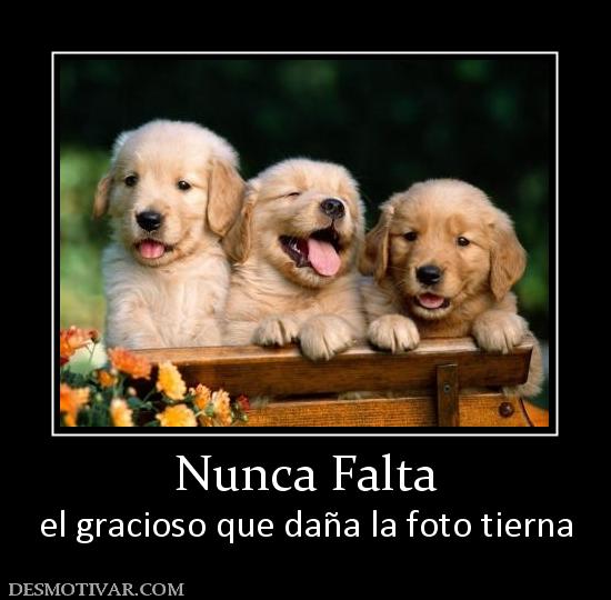 Nunca Falta el gracioso que daña la foto tierna