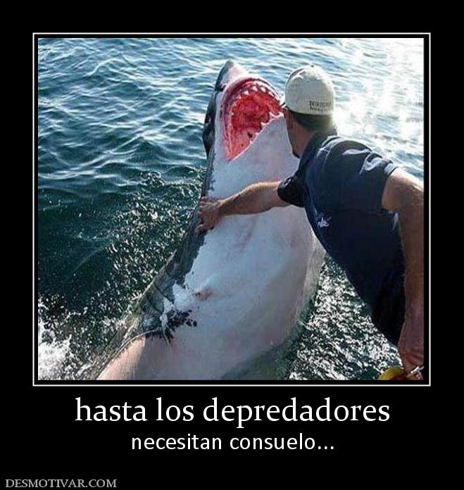 hasta los depredadores necesitan consuelo...