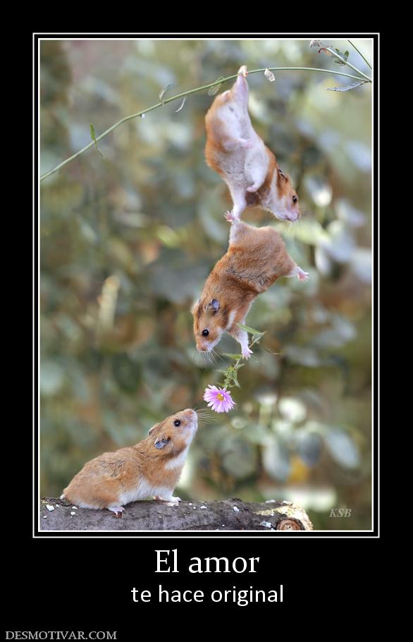 El amor te hace original
