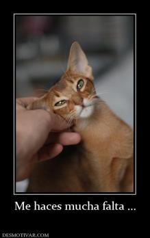 Me haces mucha falta ...