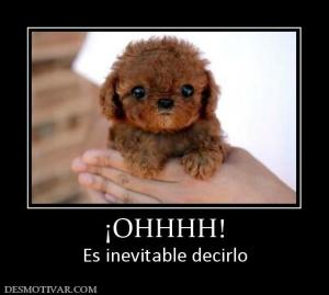 ¡OHHHH! Es inevitable decirlo