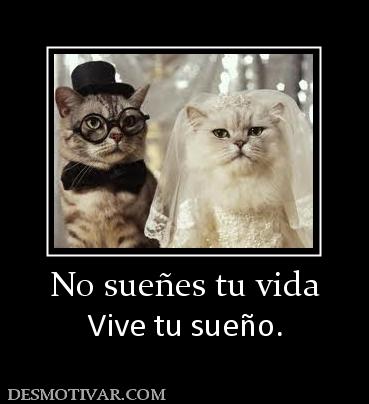 No sueñes tu vida Vive tu sueño.