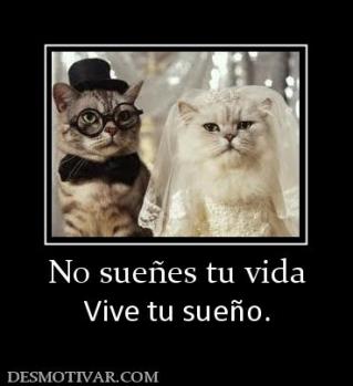 No sueñes tu vida Vive tu sueño.