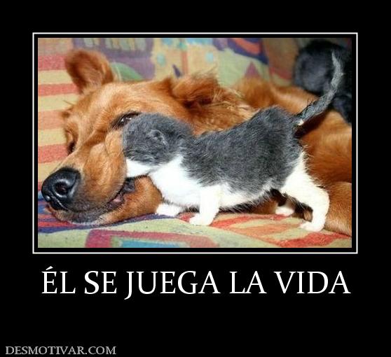 ÉL SE JUEGA LA VIDA