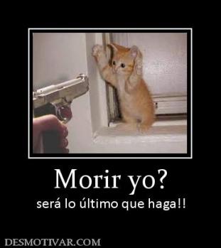 Morir yo? será lo último que haga!!