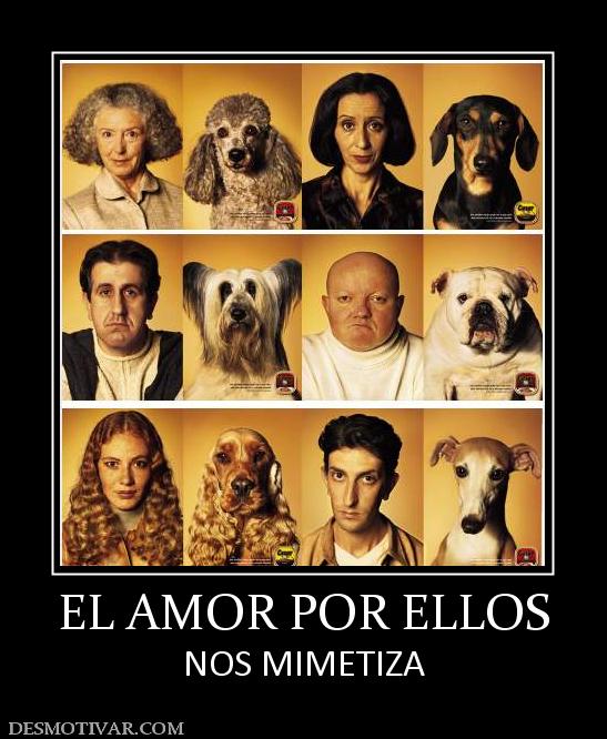 EL AMOR POR ELLOS NOS MIMETIZA