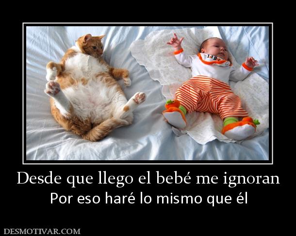 Desde que llego el bebé me ignoran Por eso haré lo mismo que él