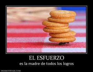 EL ESFUERZO es la madre de todos los logros