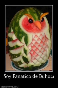 Soy Fanatico de Buho21