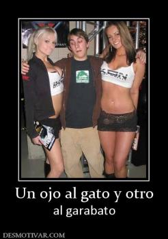 Un ojo al gato y otro al garabato