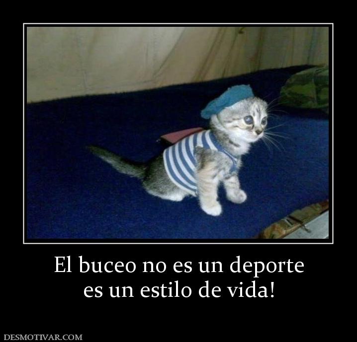 El buceo no es un deporte es un estilo de vida!