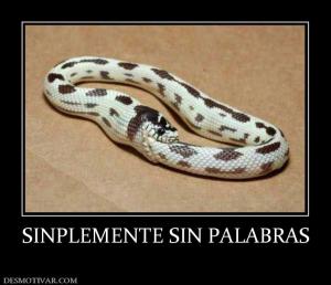 SINPLEMENTE SIN PALABRAS