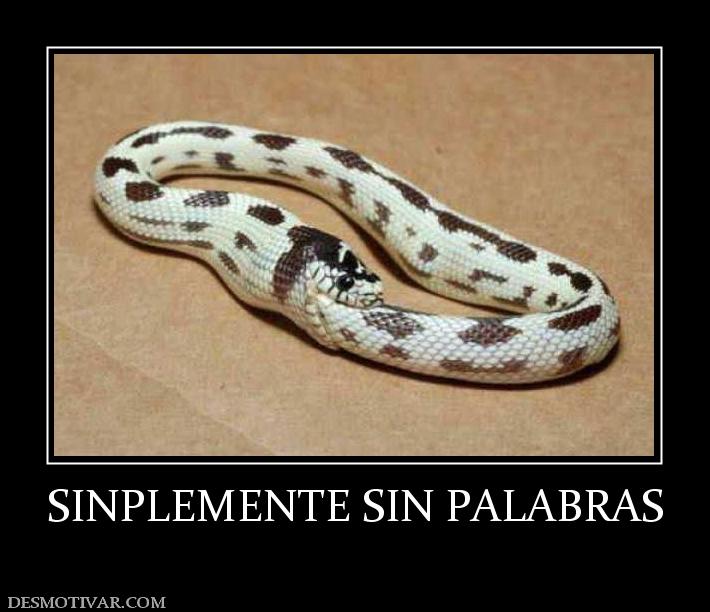 SINPLEMENTE SIN PALABRAS