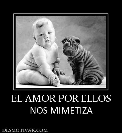 EL AMOR POR ELLOS NOS MIMETIZA