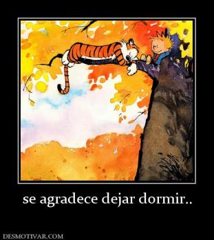 se agradece dejar dormir..
