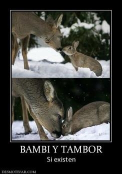 BAMBI Y TAMBOR Si existen