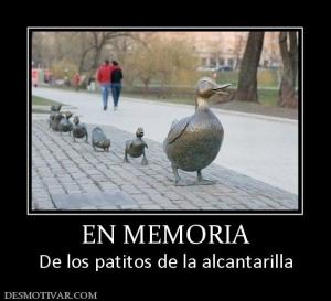 EN MEMORIA De los patitos de la alcantarilla