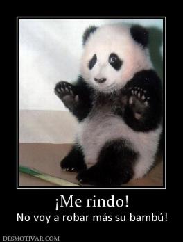 ¡Me rindo! No voy a robar más su bambú!