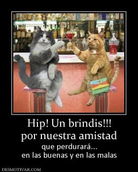 Hip! Un brindis!!! por nuestra amistad que perdurará... en las buenas y en las malas