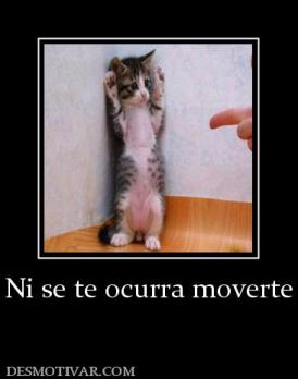 Ni se te ocurra moverte