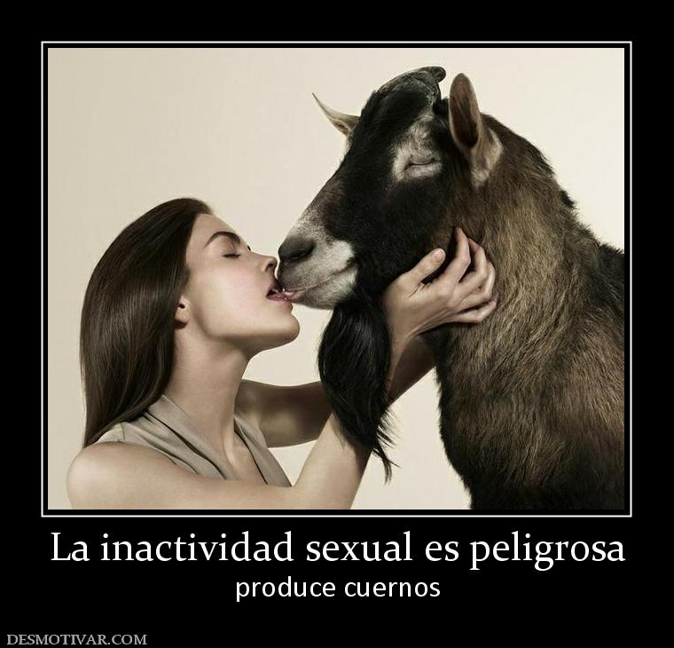La inactividad sexual es peligrosa produce cuernos
