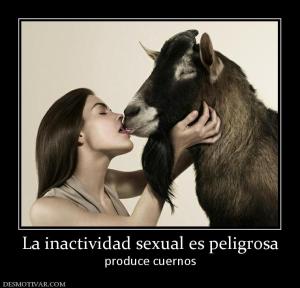 La inactividad sexual es peligrosa produce cuernos