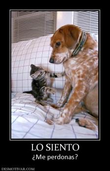 LO SIENTO ¿Me perdonas?