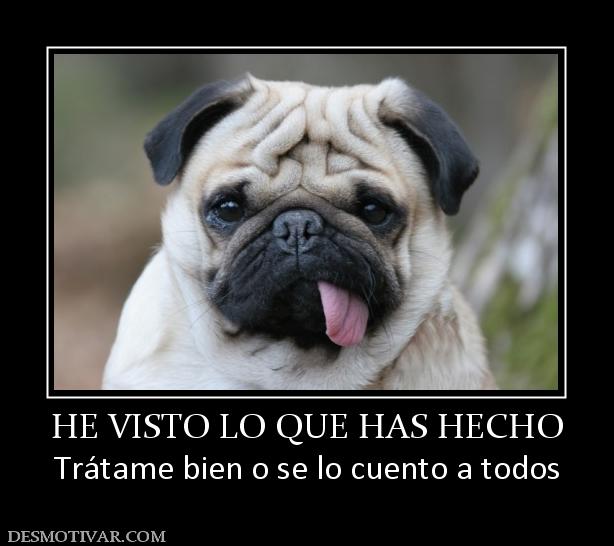 HE VISTO LO QUE HAS HECHO Trátame bien o se lo cuento a todos