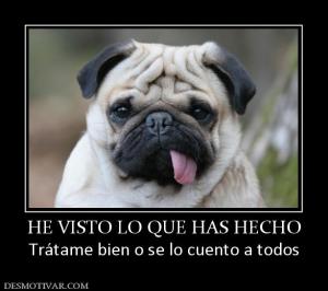 HE VISTO LO QUE HAS HECHO Trátame bien o se lo cuento a todos