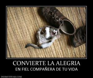 CONVIERTE LA ALEGRIA EN FIEL COMPAÑERA DE TU VIDA